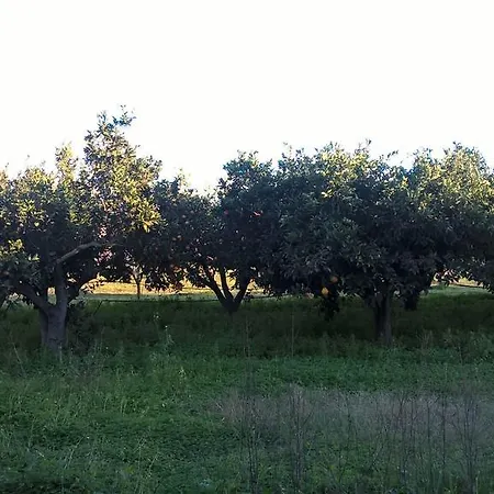 Casa Matilde Ferienhaus Orosei