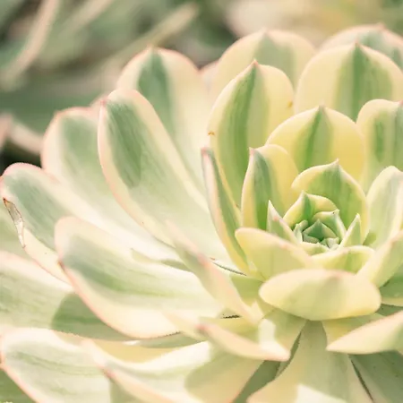 Casa Matilde Prázdninový dům *