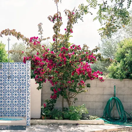 Casa Matilde Hébergement de vacances